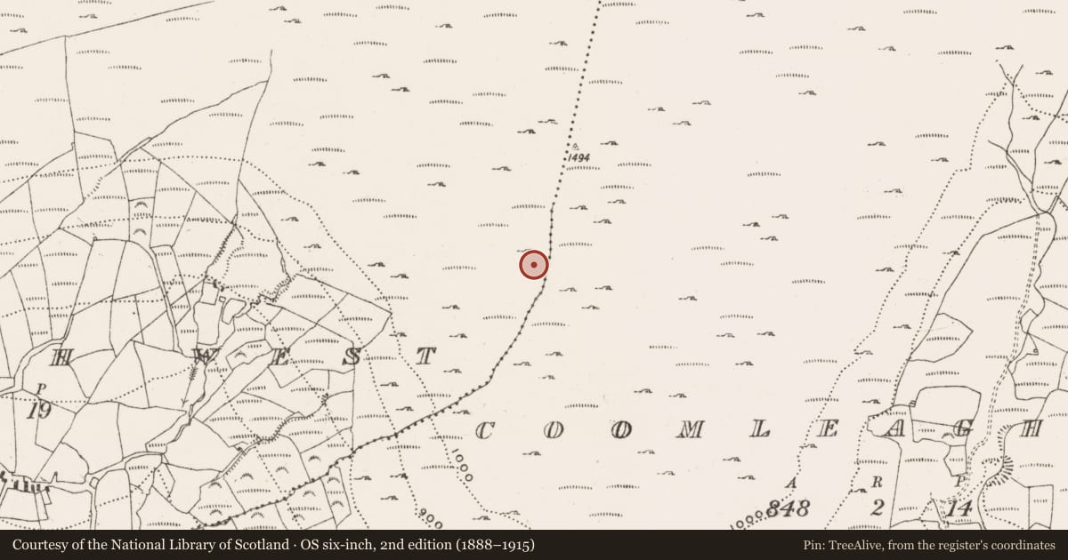 Ordnance Survey six-inch map, 2nd edition (1888–1915) covering the location of Hut site, Coomleagh West, County Cork, with a pin at the register's coordinates