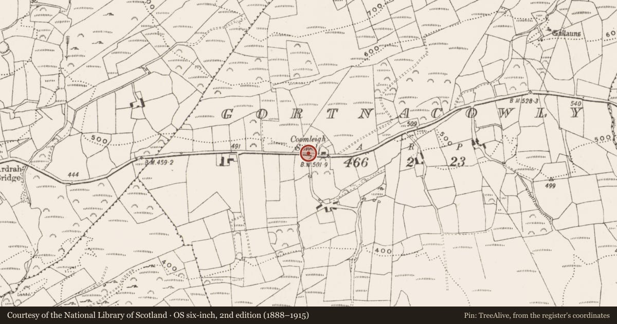 Ordnance Survey six-inch map, 2nd edition (1888–1915) covering the location of Cross-inscribed stone, Gortnacowly, County Cork, with a pin at the register's coordinates