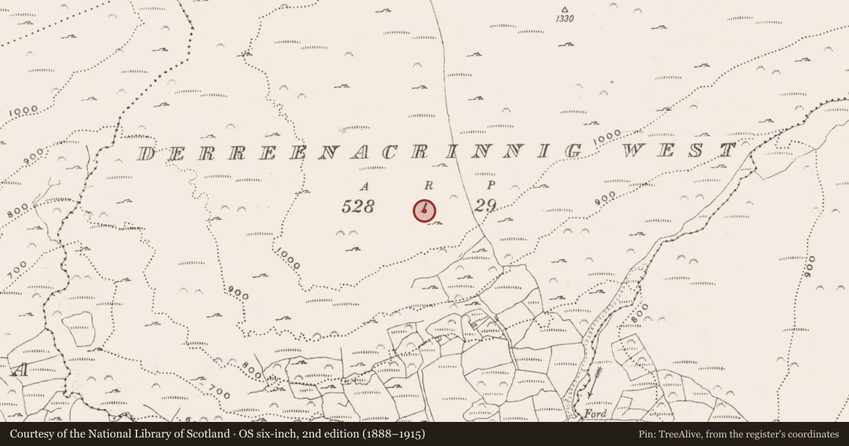 Ordnance Survey six-inch map, 2nd edition (1888–1915) covering the location of Hut site, Derreenacrinnig West, County Cork, with a pin at the register's coordinates