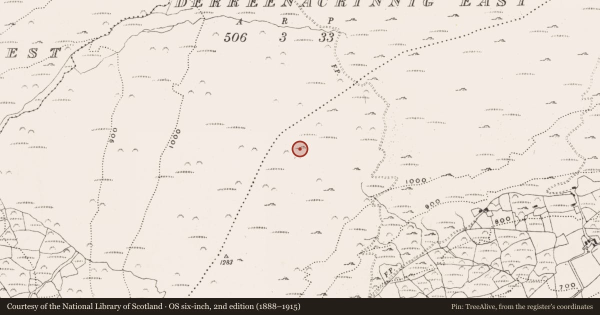 Ordnance Survey six-inch map, 2nd edition (1888–1915) covering the location of Hut site, Garranes North, County Cork, with a pin at the register's coordinates