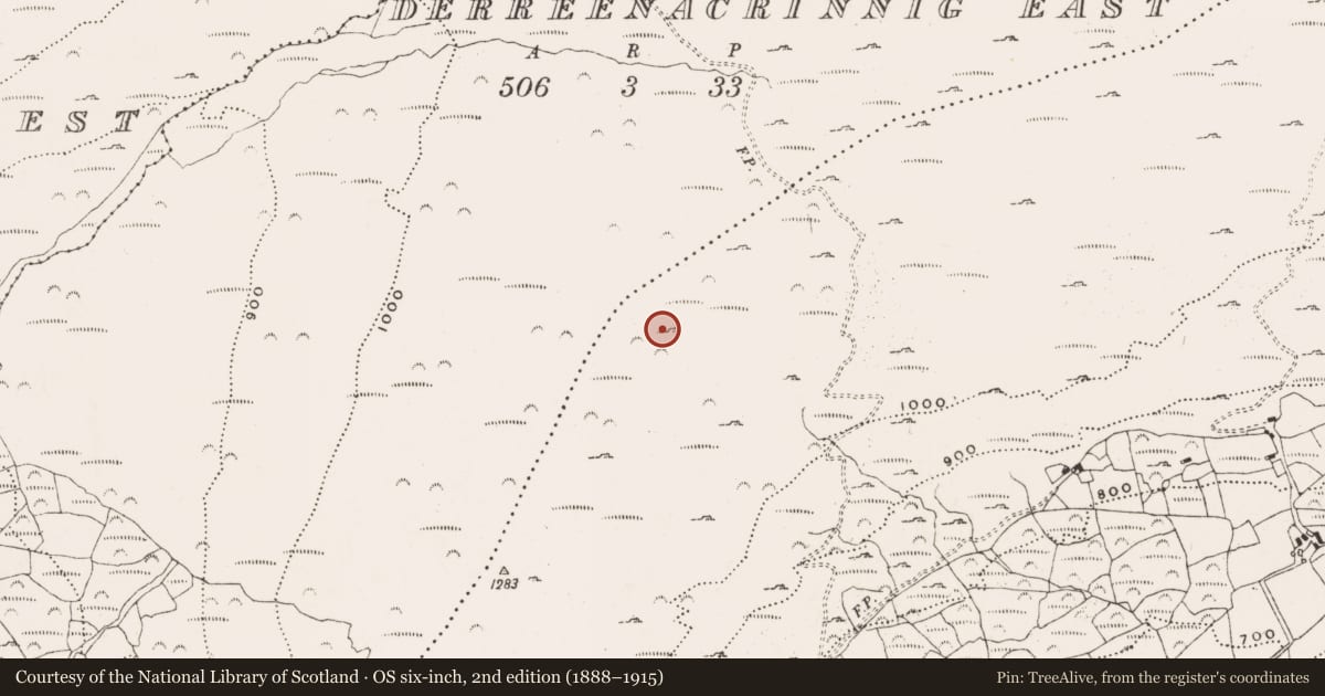 Ordnance Survey six-inch map, 2nd edition (1888–1915) covering the location of Hut site, Garranes North, County Cork, with a pin at the register's coordinates