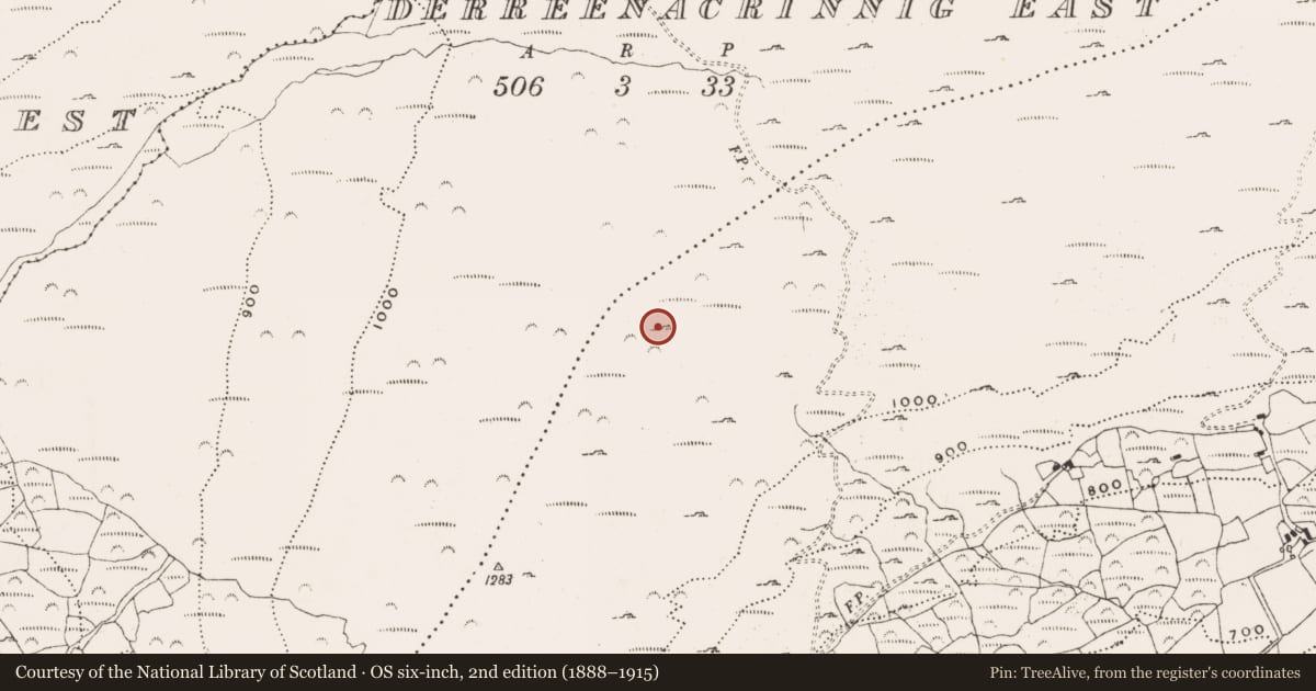 Ordnance Survey six-inch map, 2nd edition (1888–1915) covering the location of Hut site, Garranes North, County Cork, with a pin at the register's coordinates