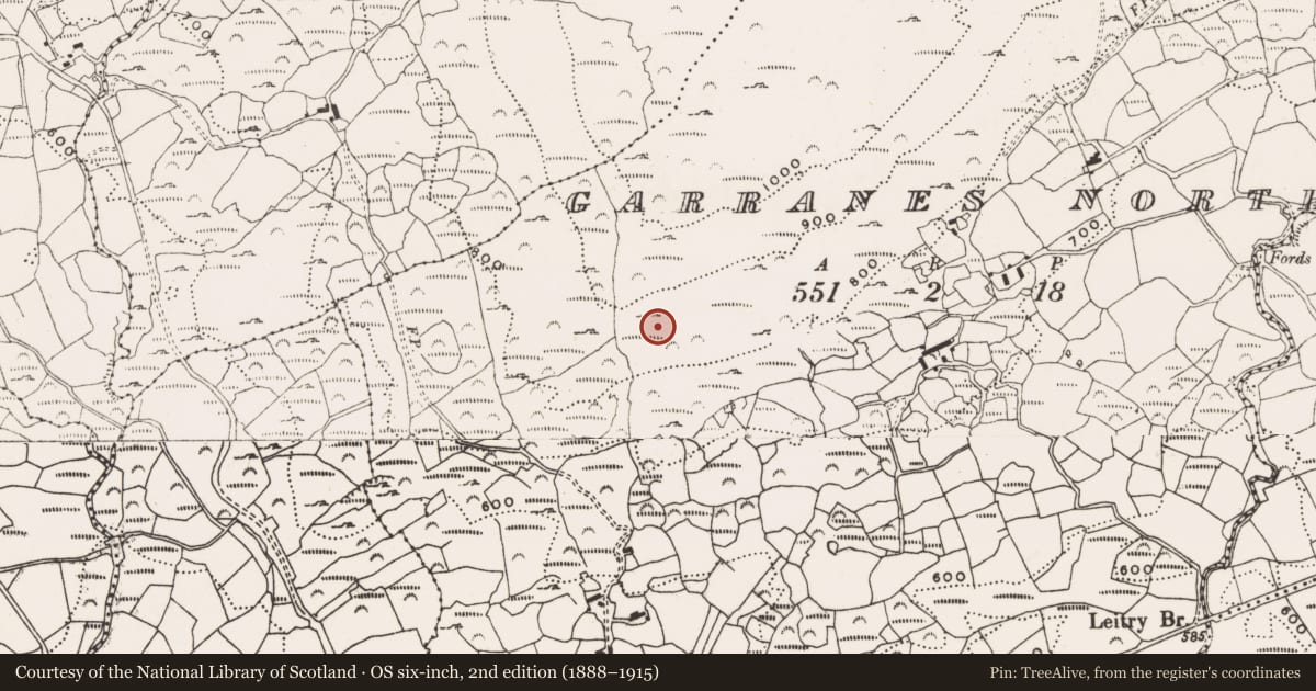 Ordnance Survey six-inch map, 2nd edition (1888–1915) covering the location of Hut site, Garranes North, County Cork, with a pin at the register's coordinates