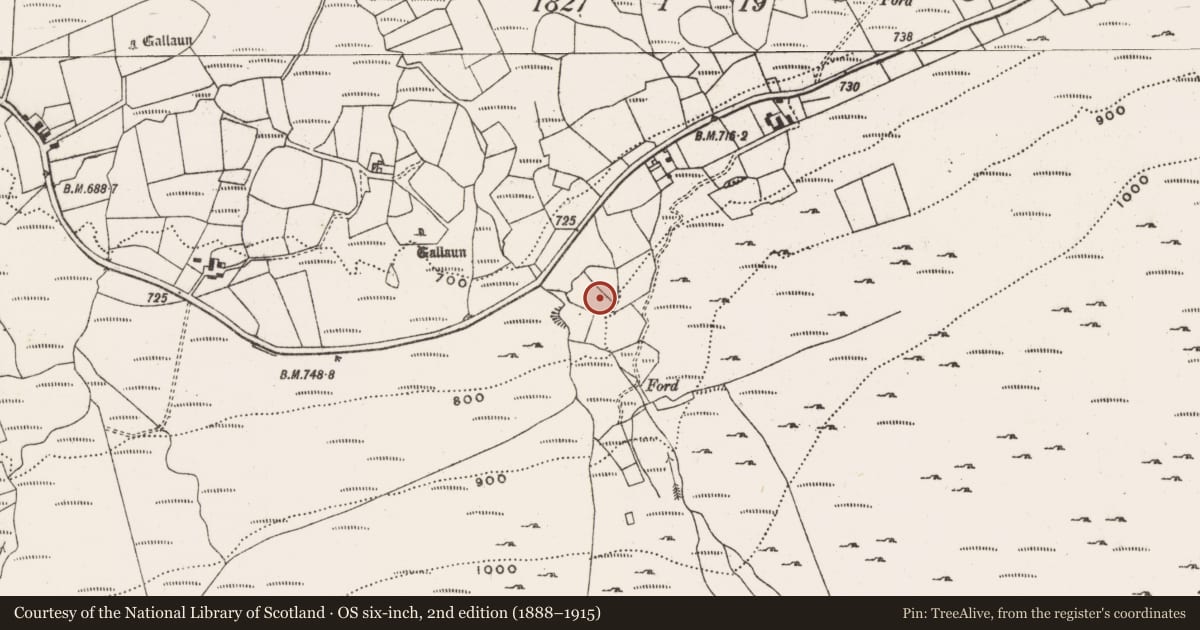 Ordnance Survey six-inch map, 2nd edition (1888–1915) covering the location of Standing stone, Cousane, County Cork, with a pin at the register's coordinates