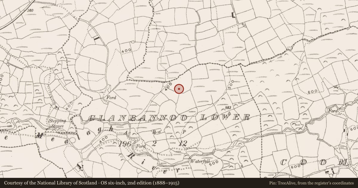 Ordnance Survey six-inch map, 2nd edition (1888–1915) covering the location of Fulacht fia, Glanbannoo Lower, County Cork, with a pin at the register's coordinates