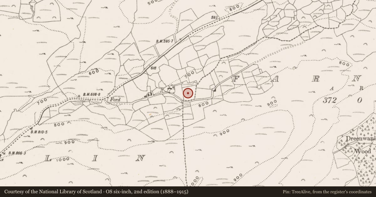 Ordnance Survey six-inch map, 2nd edition (1888–1915) covering the location of Standing stone, Goulacullin, County Cork, with a pin at the register's coordinates