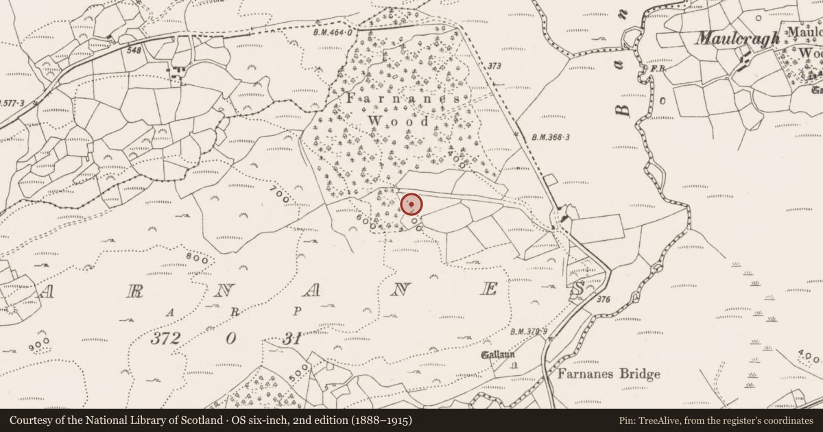 Ordnance Survey six-inch map, 2nd edition (1888–1915) covering the location of Ringfort - rath, Farnanes, County Cork, with a pin at the register's coordinates