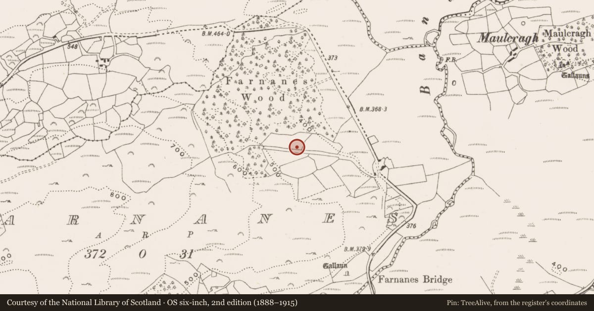 Ordnance Survey six-inch map, 2nd edition (1888–1915) covering the location of Ringfort - rath, Farnanes, County Cork, with a pin at the register's coordinates