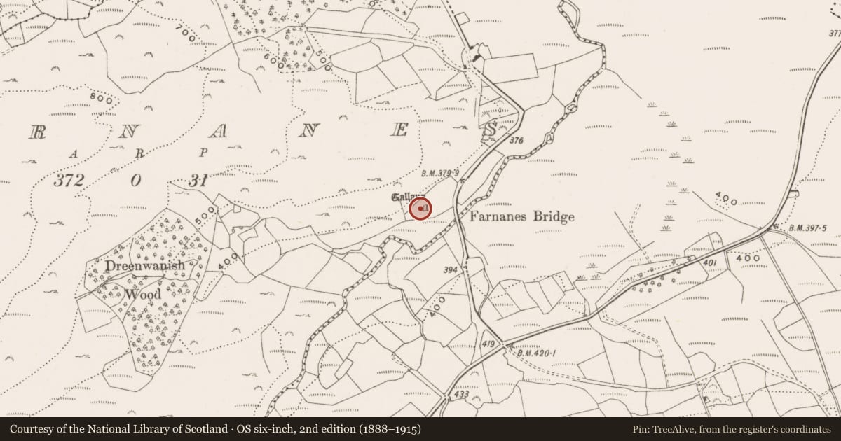 Ordnance Survey six-inch map, 2nd edition (1888–1915) covering the location of Standing stone, Farnanes, County Cork, with a pin at the register's coordinates