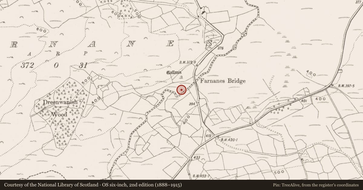 Ordnance Survey six-inch map, 2nd edition (1888–1915) covering the location of Fulacht fia, Farnanes, County Cork, with a pin at the register's coordinates