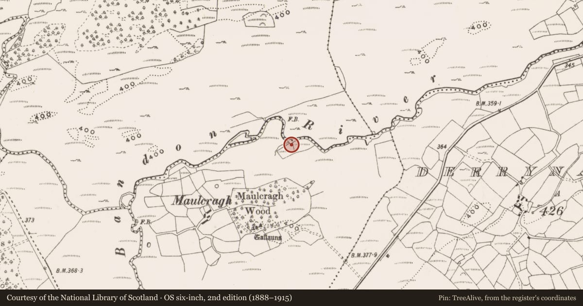 Ordnance Survey six-inch map, 2nd edition (1888–1915) covering the location of Burial mound, Dromdrasdil, County Cork, with a pin at the register's coordinates