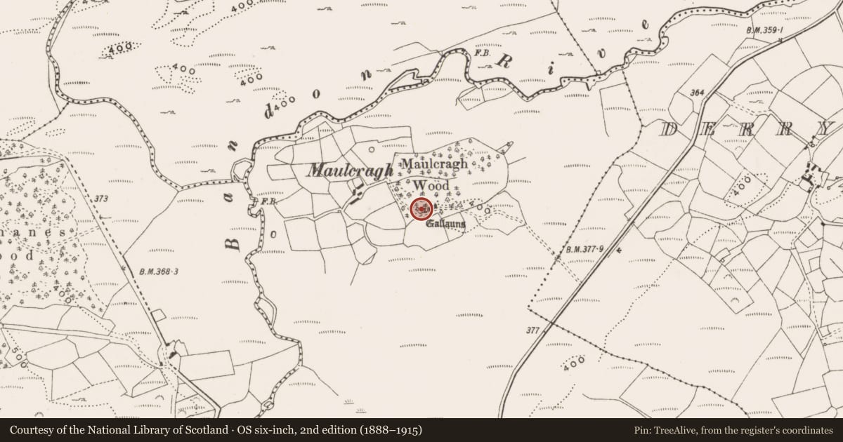 Ordnance Survey six-inch map, 2nd edition (1888–1915) covering the location of Stone row, Dromdrasdil, County Cork, with a pin at the register's coordinates