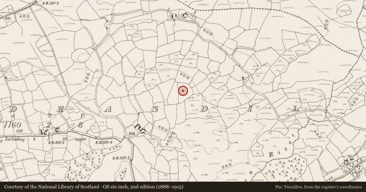 Ordnance Survey six-inch map, 2nd edition (1888–1915) covering the location of Ringfort - rath, Dromdrasdil, County Cork, with a pin at the register's coordinates