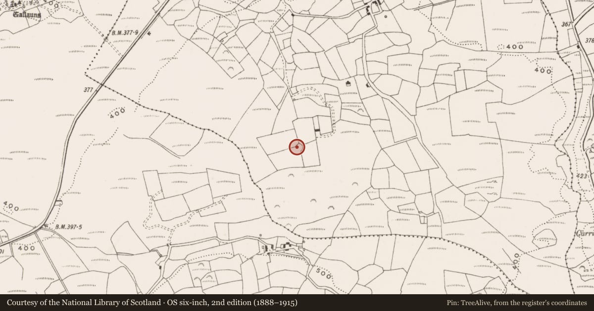 Ordnance Survey six-inch map, 2nd edition (1888–1915) covering the location of Ringfort - cashel, Derrynacaheragh, County Cork, with a pin at the register's coordinates