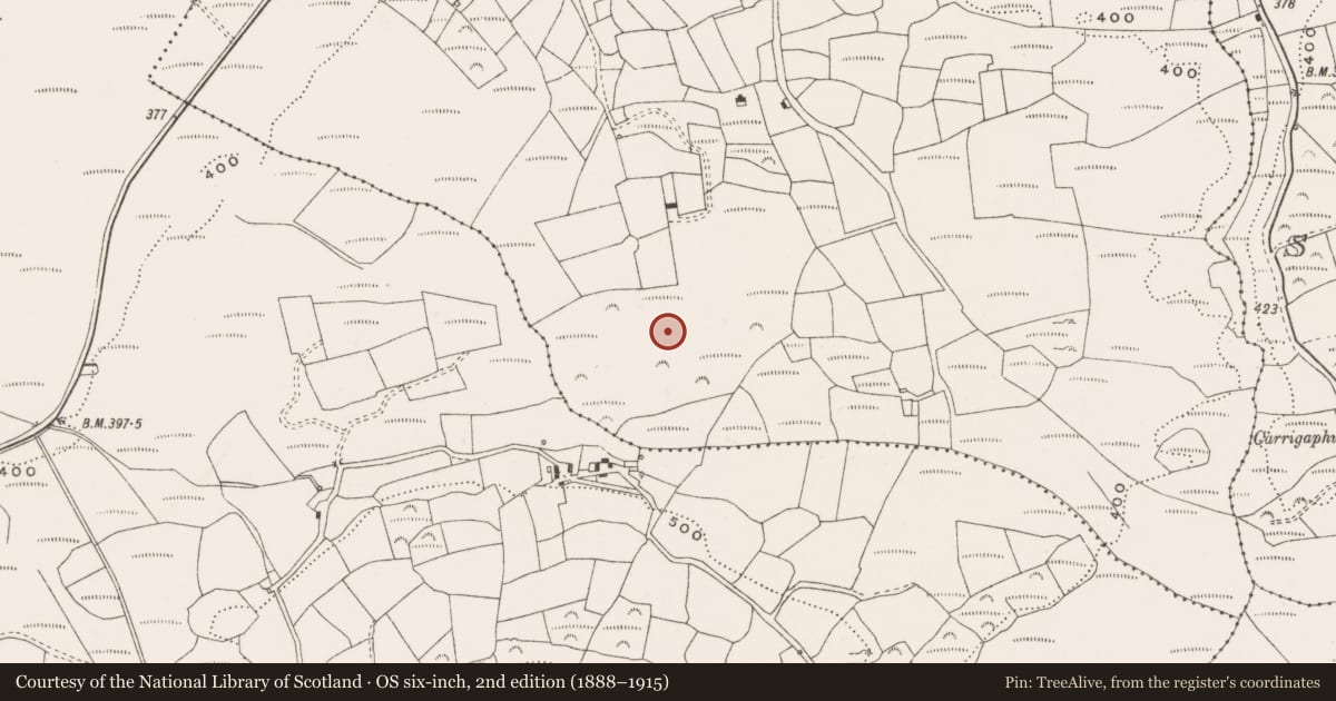 Ordnance Survey six-inch map, 2nd edition (1888–1915) covering the location of Stone row, Derrynacaheragh, County Cork, with a pin at the register's coordinates