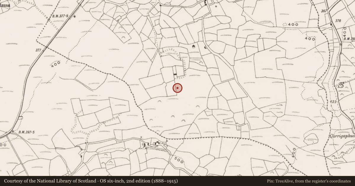 Ordnance Survey six-inch map, 2nd edition (1888–1915) covering the location of Standing stone, Derrynacaheragh, County Cork, with a pin at the register's coordinates