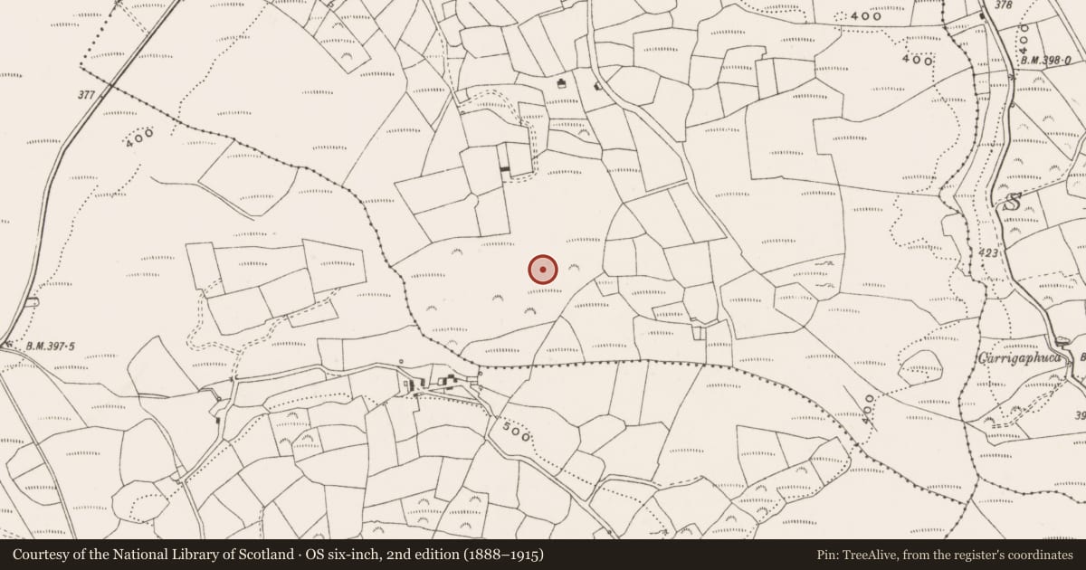 Ordnance Survey six-inch map, 2nd edition (1888–1915) covering the location of Standing stone, Derrynacaheragh, County Cork, with a pin at the register's coordinates