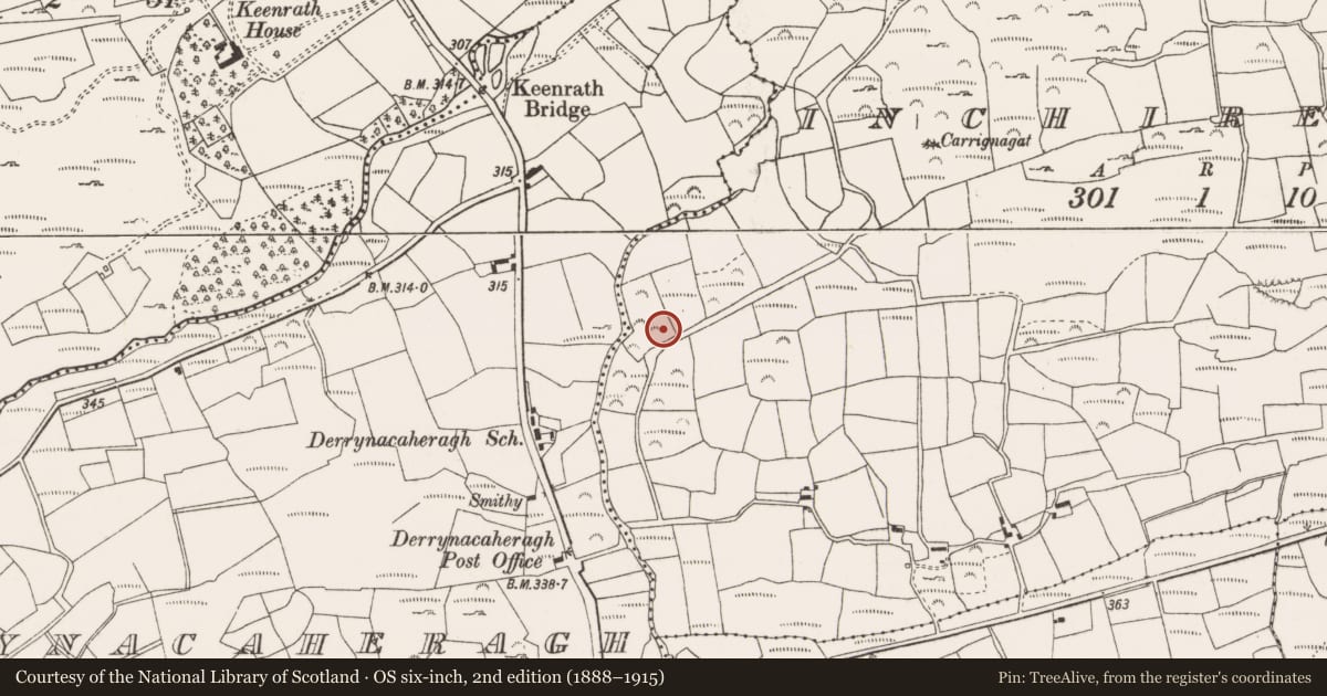 Ordnance Survey six-inch map, 2nd edition (1888–1915) covering the location of Stone circle - five-stone, Inchireagh, County Cork, with a pin at the register's coordinates