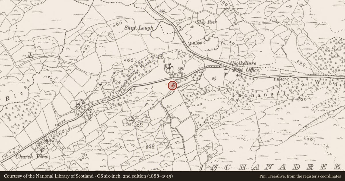 Ordnance Survey six-inch map, 2nd edition (1888–1915) covering the location of Kiln - lime, Carrigskullihy, County Cork, with a pin at the register's coordinates