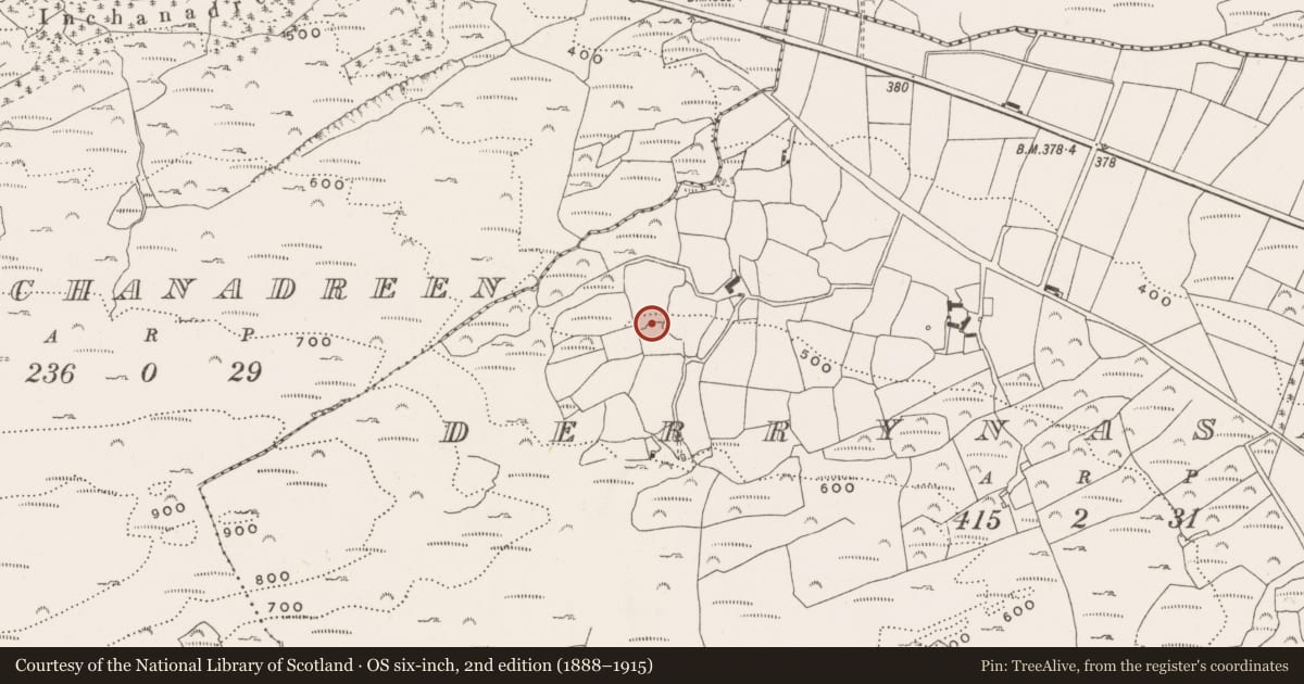 Ordnance Survey six-inch map, 2nd edition (1888–1915) covering the location of Ringfort - rath, Derrynasafagh, County Cork, with a pin at the register's coordinates