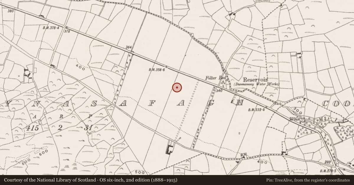 Ordnance Survey six-inch map, 2nd edition (1888–1915) covering the location of Standing stone, Derrynasafagh, County Cork, with a pin at the register's coordinates