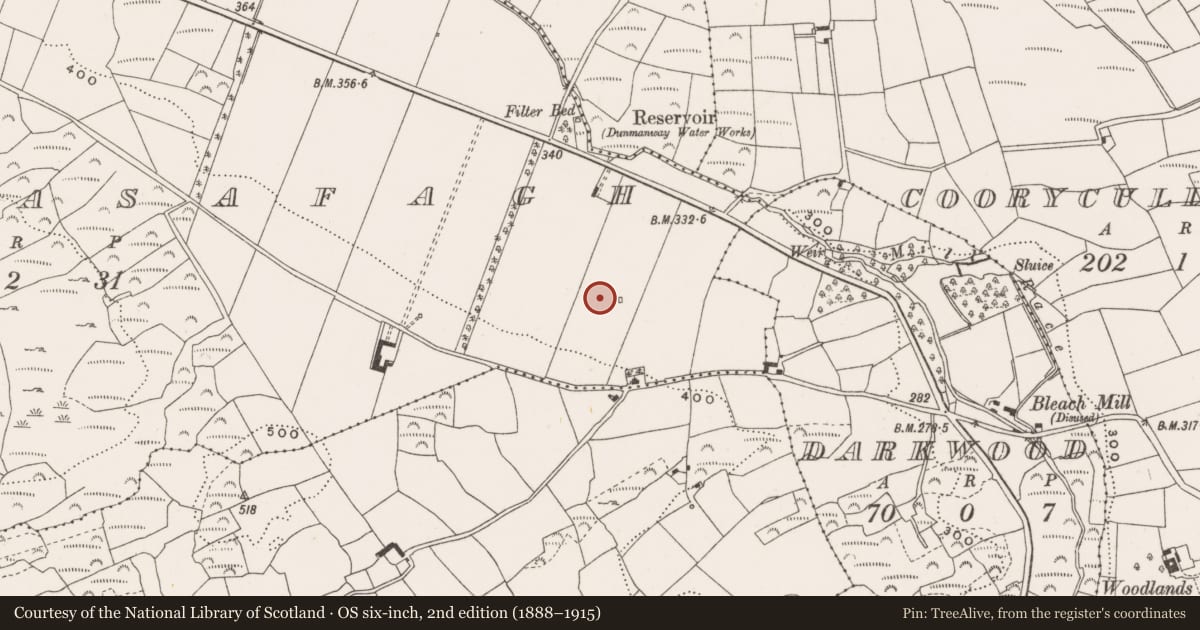 Ordnance Survey six-inch map, 2nd edition (1888–1915) covering the location of Standing stone, Derrynasafagh, County Cork, with a pin at the register's coordinates