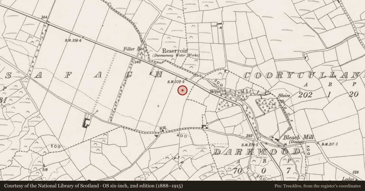 Ordnance Survey six-inch map, 2nd edition (1888–1915) covering the location of Standing stone, Derrynasafagh, County Cork, with a pin at the register's coordinates