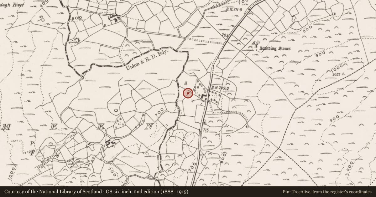 Ordnance Survey six-inch map, 2nd edition (1888–1915) covering the location of Stone circle - five-stone, Cullenagh, County Cork, with a pin at the register's coordinates