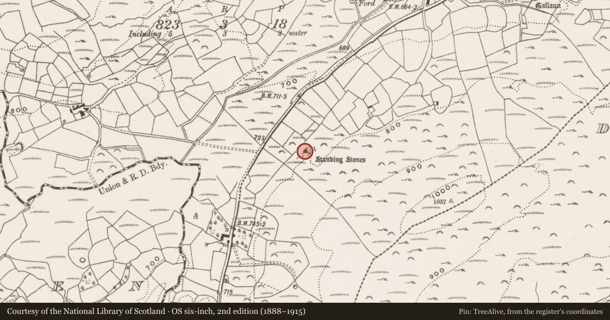 Ordnance Survey six-inch map, 2nd edition (1888–1915) covering the location of Stone row, Cullenagh, County Cork, with a pin at the register's coordinates