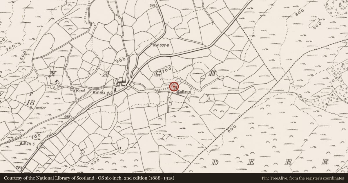 Ordnance Survey six-inch map, 2nd edition (1888–1915) covering the location of Standing stone - pair, Cullenagh, County Cork, with a pin at the register's coordinates