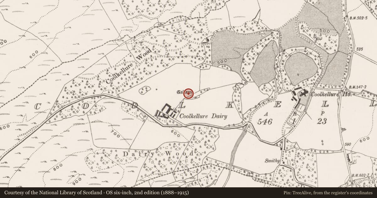 Ordnance Survey six-inch map, 2nd edition (1888–1915) covering the location of Standing stone, Coolkellure, County Cork, with a pin at the register's coordinates