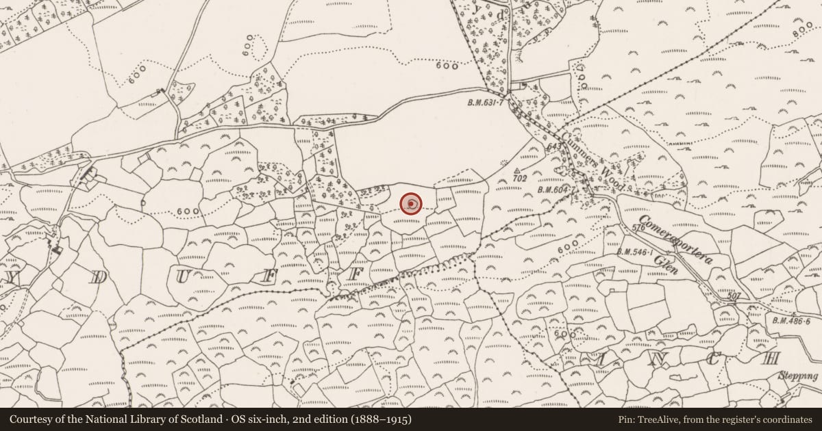 Ordnance Survey six-inch map, 2nd edition (1888–1915) covering the location of Enclosure, Derryduff, County Cork, with a pin at the register's coordinates