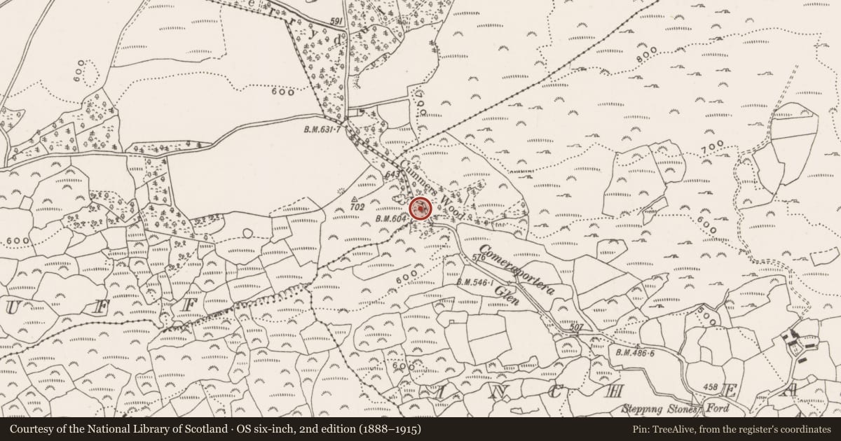 Ordnance Survey six-inch map, 2nd edition (1888–1915) covering the location of Ritual site - holy well, Derryduff, County Cork, with a pin at the register's coordinates