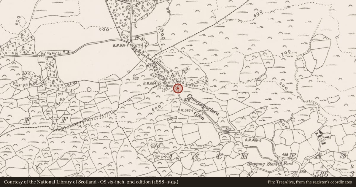 Ordnance Survey six-inch map, 2nd edition (1888–1915) covering the location of Burial, Inch East, County Cork, with a pin at the register's coordinates