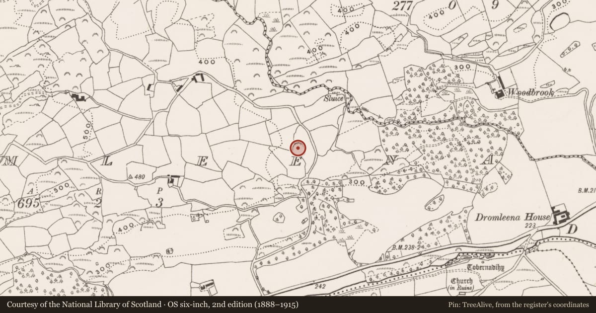 Ordnance Survey six-inch map, 2nd edition (1888–1915) covering the location of Ringfort - rath, Dromleena, County Cork, with a pin at the register's coordinates