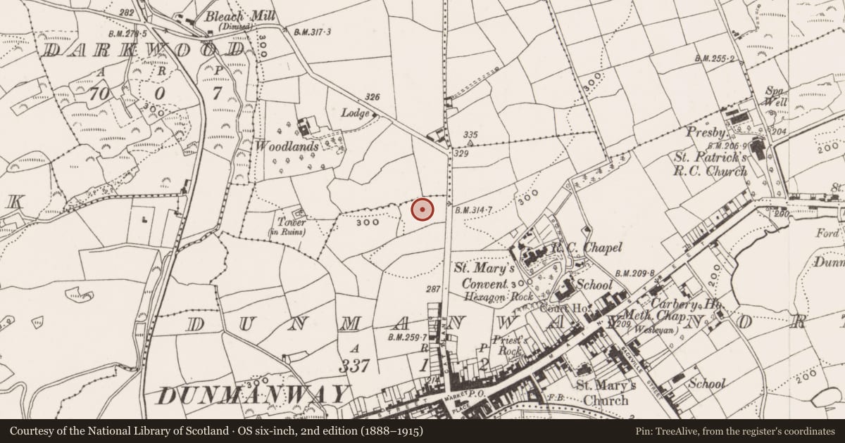 Ordnance Survey six-inch map, 2nd edition (1888–1915) covering the location of Standing stone, Dunmanway North, County Cork, with a pin at the register's coordinates