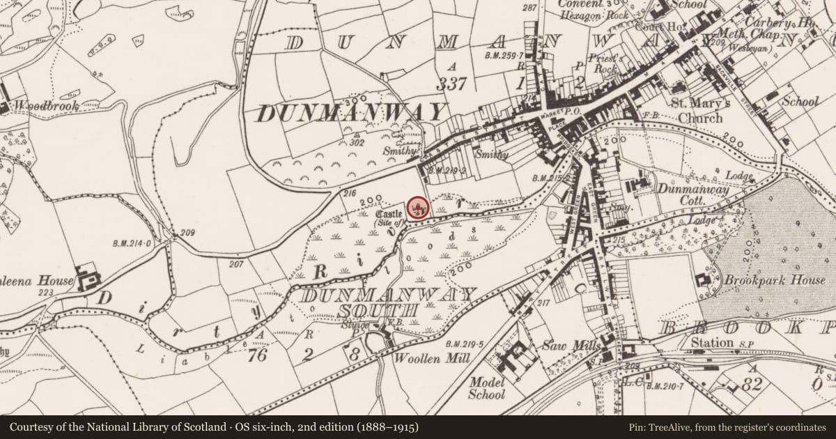 Ordnance Survey six-inch map, 2nd edition (1888–1915) covering the location of Castle - Anglo-Norman masonry castle, Dunmanway North, County Cork, with a pin at the register's coordinates