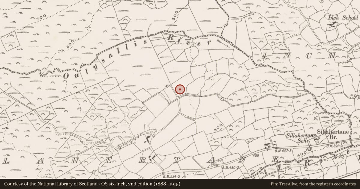 Ordnance Survey six-inch map, 2nd edition (1888–1915) covering the location of Standing stone, Sillahertane, County Cork, with a pin at the register's coordinates