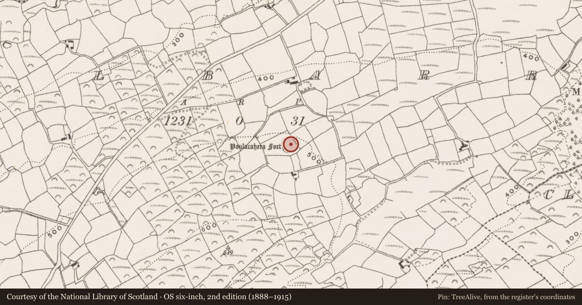 Ordnance Survey six-inch map, 2nd edition (1888–1915) covering the location of Ringfort - rath, Kilbarry, County Cork, with a pin at the register's coordinates