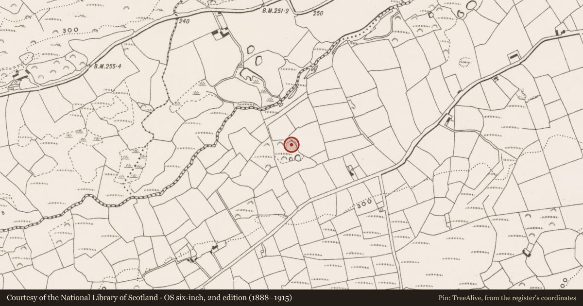 Ordnance Survey six-inch map, 2nd edition (1888–1915) covering the location of Ringfort - rath, Kilbarry, County Cork, with a pin at the register's coordinates