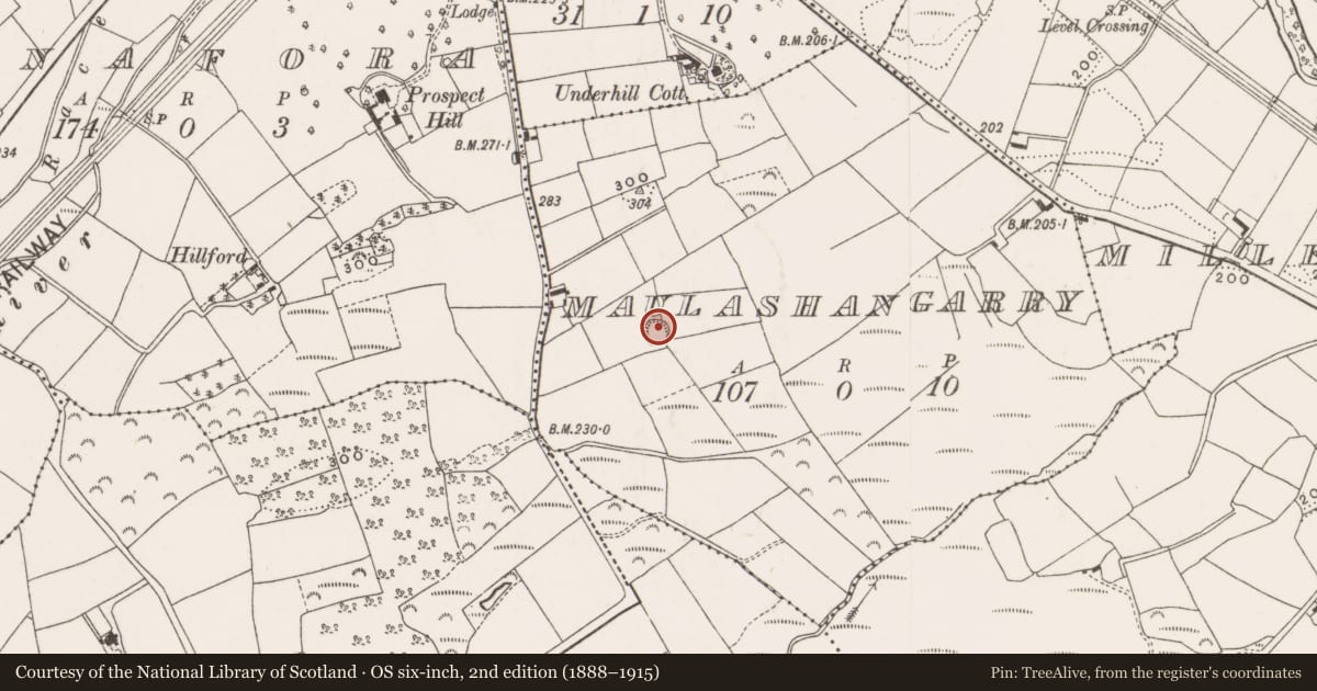 Ordnance Survey six-inch map, 2nd edition (1888–1915) covering the location of Ringfort - rath, Maulashangarry, County Cork, with a pin at the register's coordinates