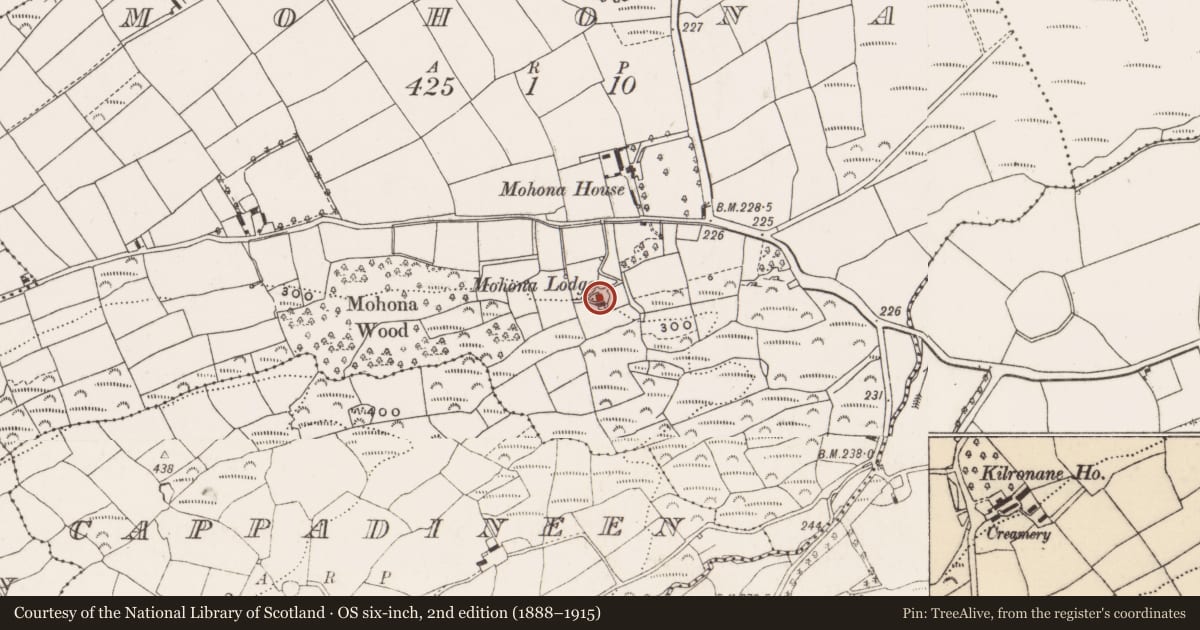 Ordnance Survey six-inch map, 2nd edition (1888–1915) covering the location of Country house, Mohona, County Cork, with a pin at the register's coordinates