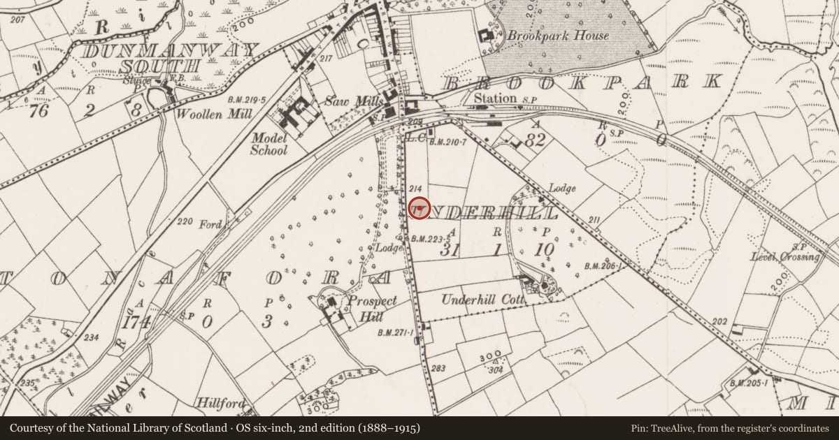 Ordnance Survey six-inch map, 2nd edition (1888–1915) covering the location of Ogham stone, Underhill, County Cork, with a pin at the register's coordinates