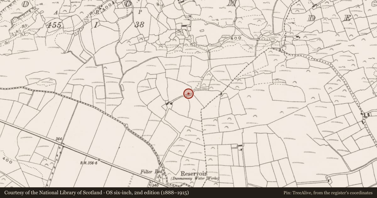 Ordnance Survey six-inch map, 2nd edition (1888–1915) covering the location of Souterrain, Coom, County Cork, with a pin at the register's coordinates