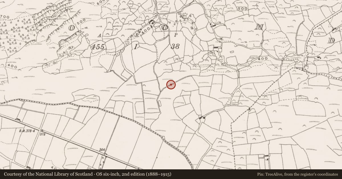 Ordnance Survey six-inch map, 2nd edition (1888–1915) covering the location of Fulacht fia, Coom, County Cork, with a pin at the register's coordinates