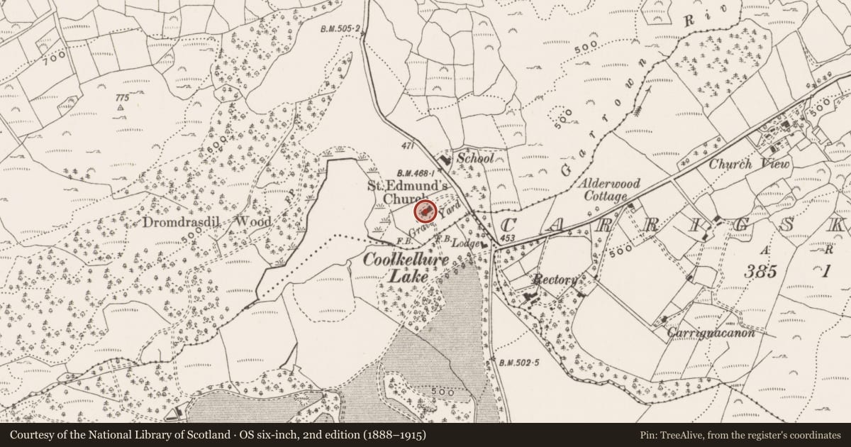 Ordnance Survey six-inch map, 2nd edition (1888–1915) covering the location of Graveyard, Dromdrasdil, County Cork, with a pin at the register's coordinates