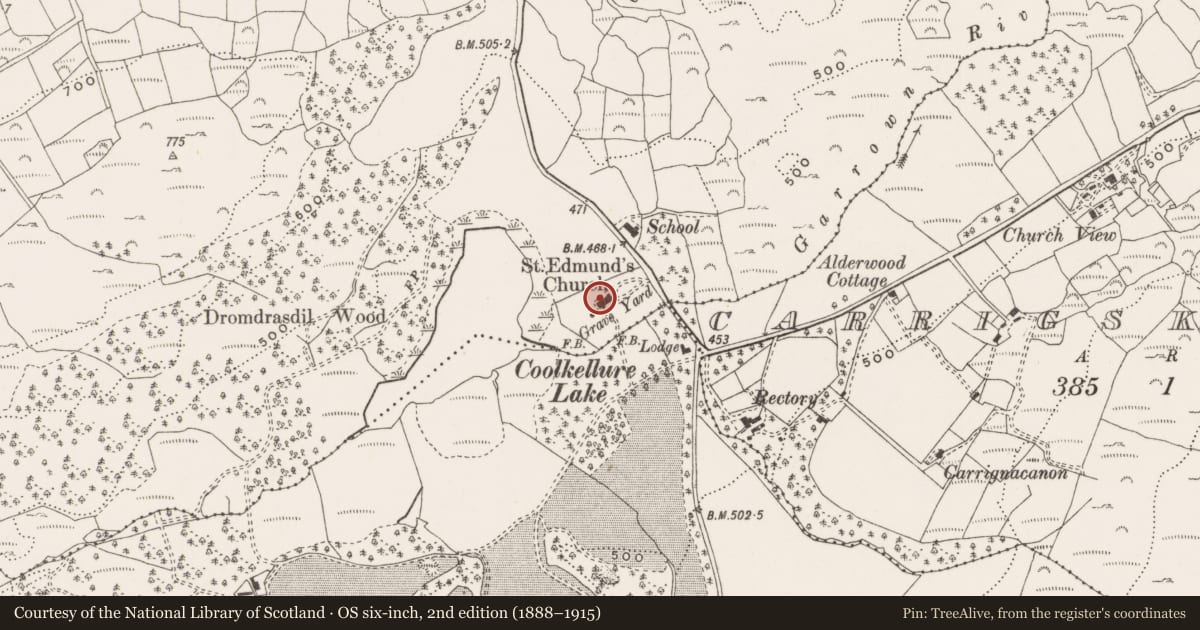 Ordnance Survey six-inch map, 2nd edition (1888–1915) covering the location of Church, Dromdrasdil, County Cork, with a pin at the register's coordinates