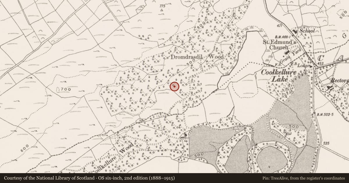 Ordnance Survey six-inch map, 2nd edition (1888–1915) covering the location of Stone row, Dromdrasdil, County Cork, with a pin at the register's coordinates