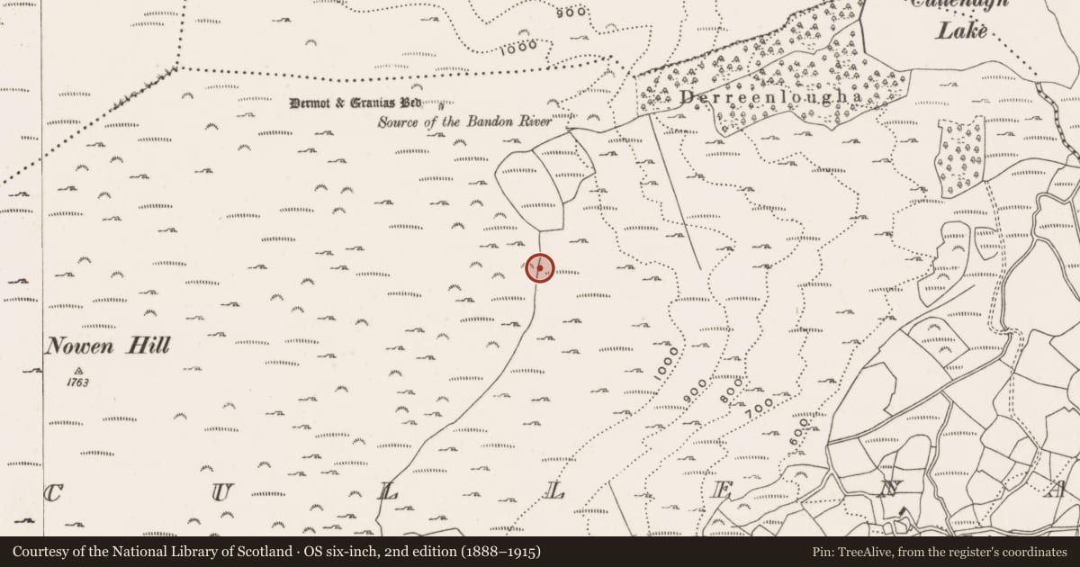 Ordnance Survey six-inch map, 2nd edition (1888–1915) covering the location of Enclosure, Cullenagh, County Cork, with a pin at the register's coordinates