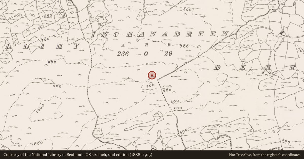 Ordnance Survey six-inch map, 2nd edition (1888–1915) covering the location of Enclosure, Inchanadreen, County Cork, with a pin at the register's coordinates